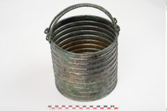 Foto von Bronzerippenciste (NHMW-PRAE-025983)